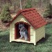 Dog House